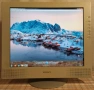 Sony SDM–M81 FTF LCD Color Computer Dispay, снимка 8