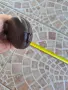 Европейска барутница - 6, снимка 5