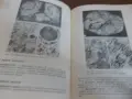 Книга..........., снимка 5