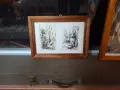 картини 2 бр. оригинал, снимка 1