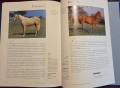 Hamlyn All Colour Guide to Horses, снимка 7