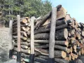 дърва за огрев метровки дъб , снимка 1