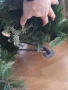 Елха коледна  2,50м., снимка 3