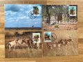 Мозамбик 1991 - 4 броя Карти Максимум - WWF, снимка 1 - Филателия - 38896185