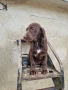 Продавам кученца, снимка 4