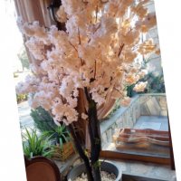 Изкуствени дръвчета японска вишна, снимка 12 - Градински цветя и растения - 40157119
