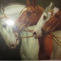 Стара красива цветна литография,коне, нова рамка,26х20см., снимка 6 - Картини - 35681709