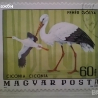 Красива колекция Унгарски пощенски марки с птици 1976 г., снимка 2 - Филателия - 44673128