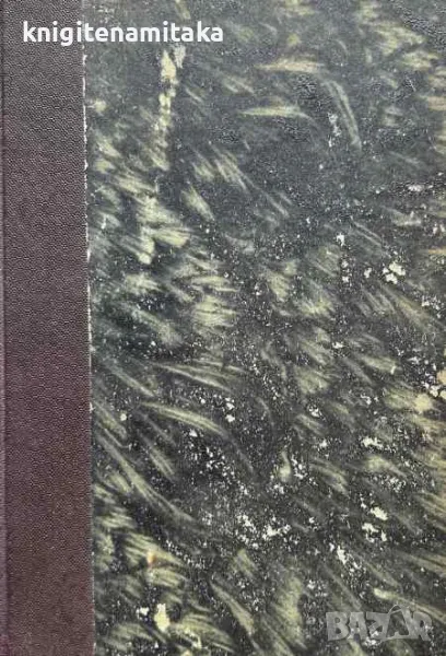 Избрани съчинения. Томъ 1: Повести - Антон Страшимиров, снимка 1