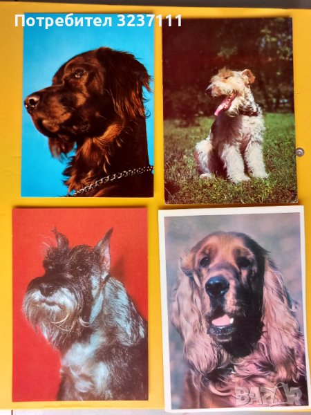 Кучета картички - лот 2, снимка 1
