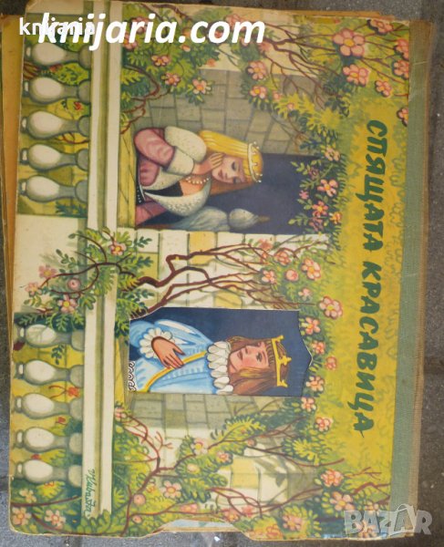 Спящата красавица: Панорамна приказка, снимка 1