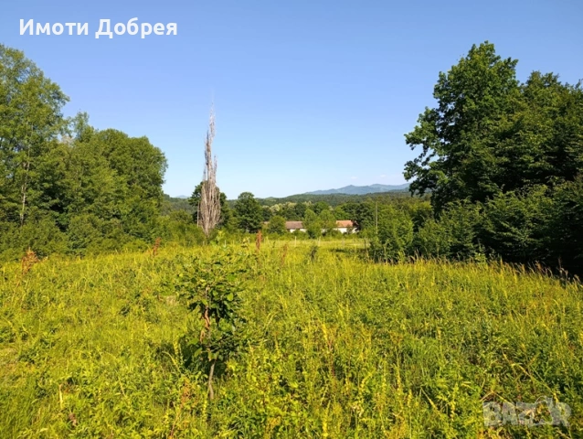 Парцел 3730 кв. м в гр. Троян, снимка 6 - Парцели - 53681207