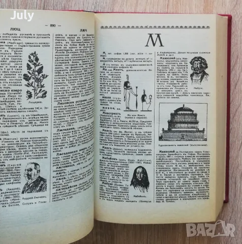 Българска енциклопедия Л-Я, Н. Г. Данчов, И. Г. Данчов, снимка 4 - Енциклопедии, справочници - 48489190