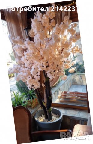 Изкуствени дръвчета японска вишна, снимка 12 - Градински цветя и растения - 40157119