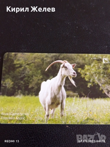 Три фонокарти серия ЖИВОТНИ,НАЦИОНАЛНИ ПАМЕТНИЦИ редки за КОЛЕКЦИЯ ДЕКОРАЦИЯ 50911, снимка 6 - Колекции - 51630390