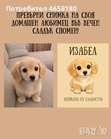 Персонализирана карикатура на домашен любимец , снимка 2 - Други - 53292565