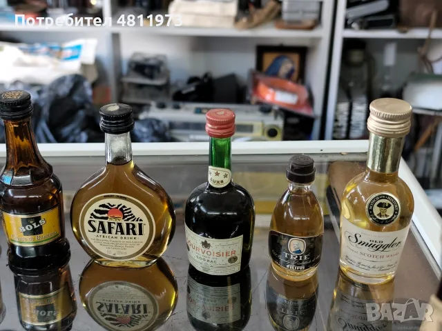 Колекция бутилчици с алкохол, снимка 5 - Колекции - 56002850