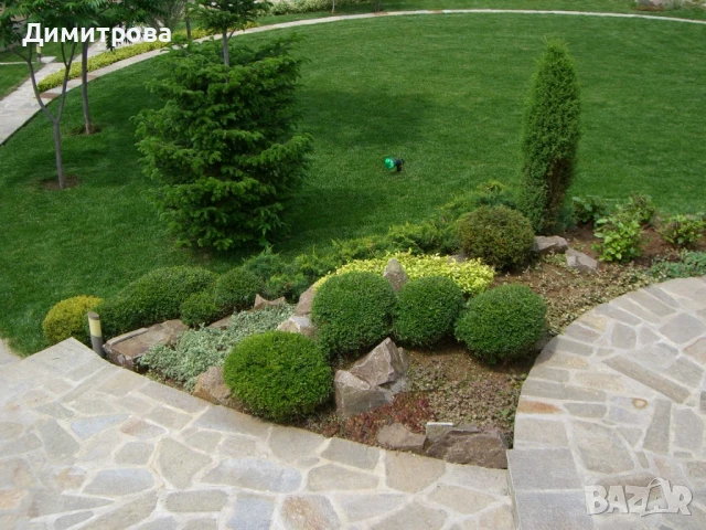 Агро услуги, снимка 2 - Други услуги - 47669322