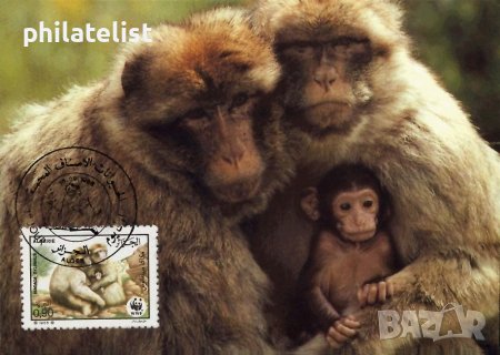 Алжир 1988 - 4 броя Карти Максимум - WWF, снимка 3 - Филателия - 38842648