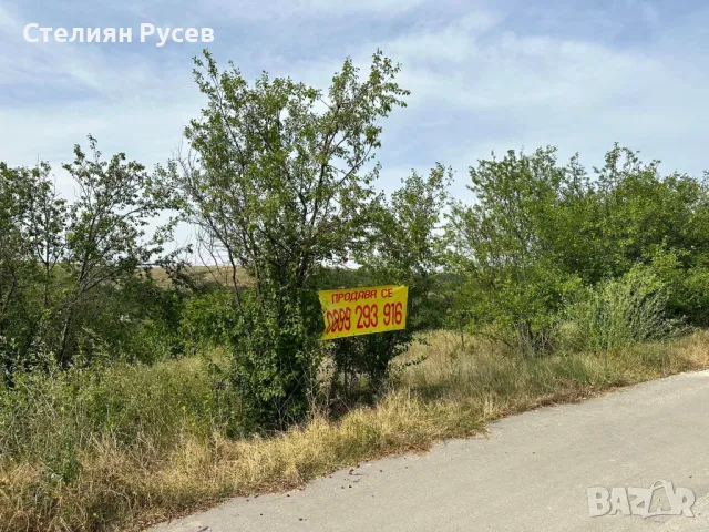 с. Калипетрово имот 1191кв.м / градина / парцел / терен , област Силистра -цена 11 000лв на 100м от , снимка 6 - Парцели - 49801270