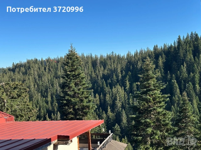 Апартамент в К.к.Пампорово, снимка 13 - Квартири, нощувки - 53019112