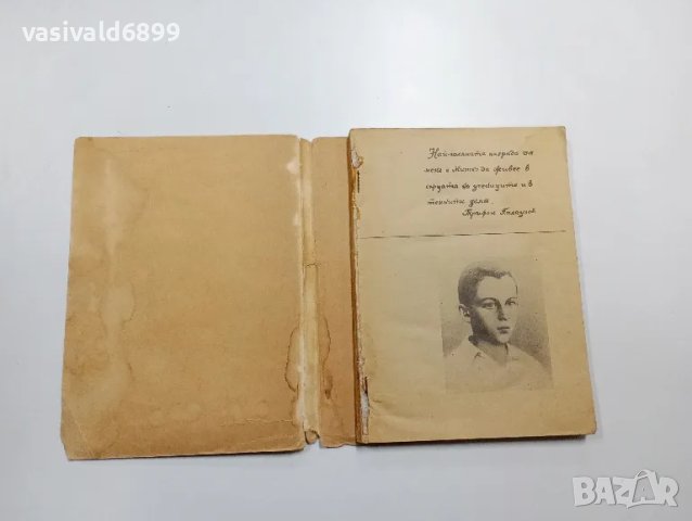 Трифон Палаузов - Митко, синът на отряда , снимка 4 - Българска литература - 48562412