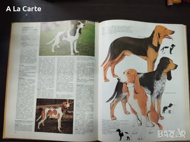 Енциклопедия Кинология, Породи кучета , снимка 9 - Специализирана литература - 49730485