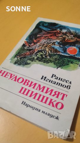 Неуловимият Шишко - Рангел Игнатов, снимка 7 - Детски книжки - 41024450