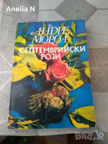 Андре Мороа -септемврийски рози