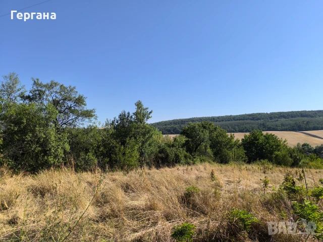 Продавам овощна градина в регулация 2.4 дка в село Тияновци, област Видин