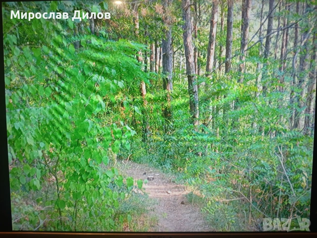 УПИ с бунгало