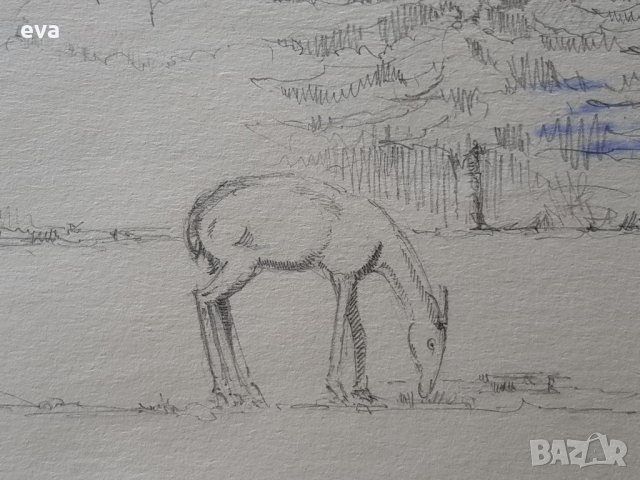 Майсторска рисунка Тома Петров(1908-1972) Пейзаж със сърничка 1946година, снимка 4 - Картини - 36004236