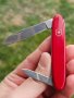 Victorinox Excelsior