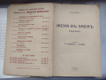 Жена въ заемъ Ото Хекер 1934 г., снимка 2