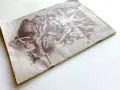 Стари учебни Атласи , снимка 16