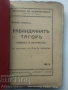 Рабиндранат Тагор Васил Ставрев, снимка 2