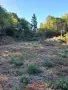 Парцел в регулация ! Ток! Вода!, снимка 2