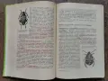 Карантина на растенията-Земиздат 1974г., снимка 7