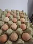 Яйца от токачки , снимка 2