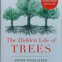 The Hidden Life of Trees (Peter Wohlleben), снимка 1 - Други - 42309131