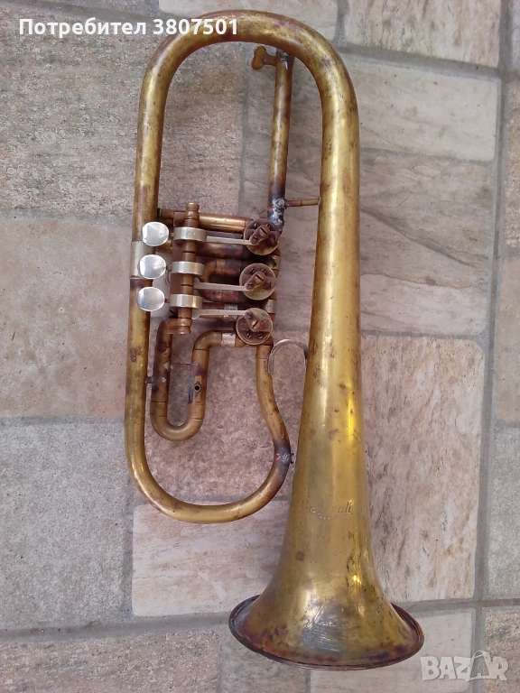 Флигорна Амати, снимка 1