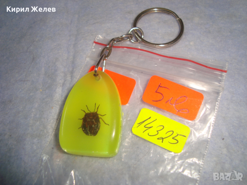 ИНТЕРЕСЕН КЛЮЧОДЪРЖАТЕЛ с ХЕРБАРИЗИРАНО БРЪМБАРЧЕ 14325, снимка 1