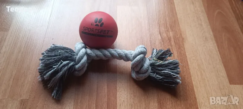 Повод и нашийник , снимка 1