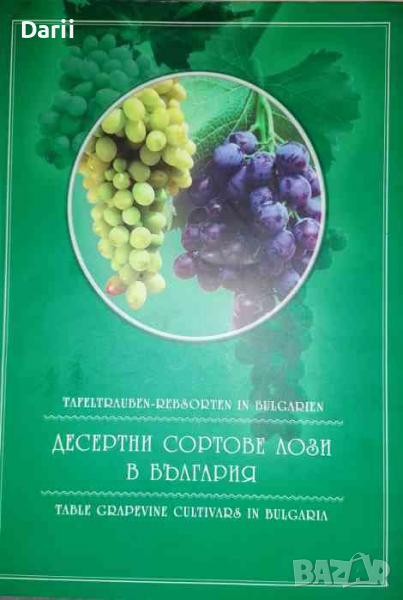 Десертни сортове лози в България, снимка 1