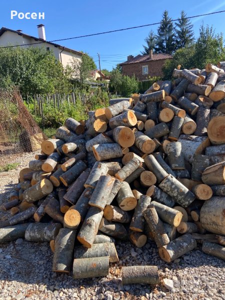 ПРОМОЦИОНАЛНА ЦЕНА - ДЪРВА ЗА ОГРЕВ - нарязани и нацепени, снимка 1