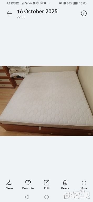 Еднолицев Матрак, снимка 1