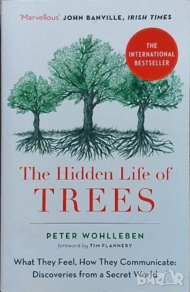 The Hidden Life of Trees (Peter Wohlleben), снимка 1