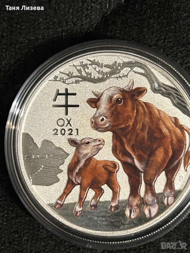 Цветен вол от серията Лунар 3, снимка 1