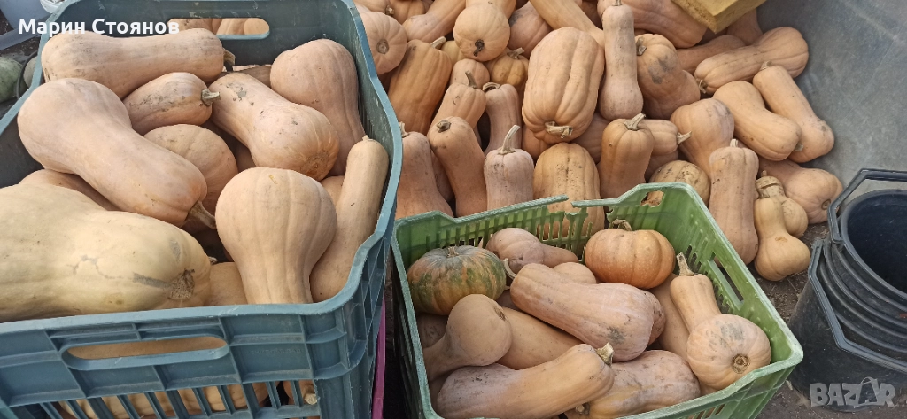 Тивки за консумация , снимка 1