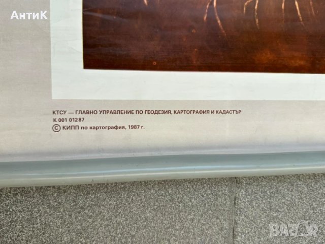 Соц Учебни Плакати Табла Постери Гъби, снимка 7 - Антикварни и старинни предмети - 51025156